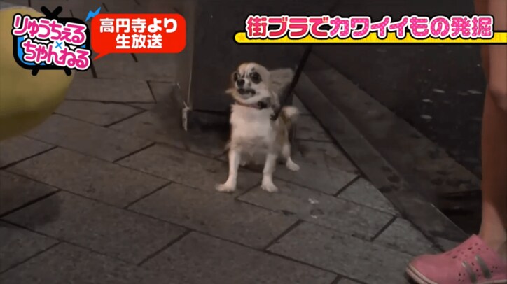 りゅうちぇる、生放送で結婚宣言？　「もうそろそろする」