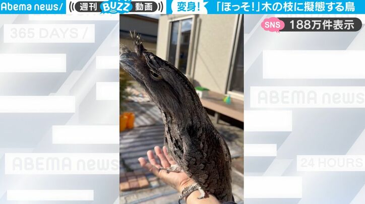 【写真・画像】【最高のアイデア】カニの口から泡出すぎ！センスが光るハンドソープがSNS上で話題「子供が何回も押して中身がすぐになくなりそう！」　2枚目