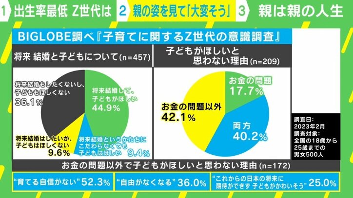 子どもを持つのが不安な若者 親の「頑張りすぎ」も一因？「塾の送迎やお受験…余裕がないと厳しい」