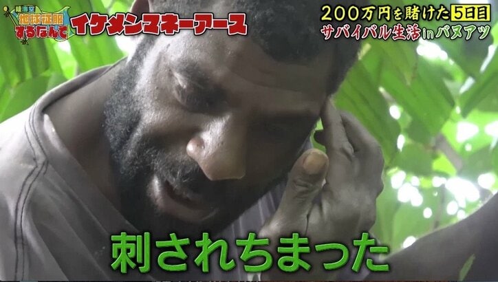 『仮面ライダー』出演のイケメン俳優、訴訟を検討していた「蜂に3カ所も刺されて…」