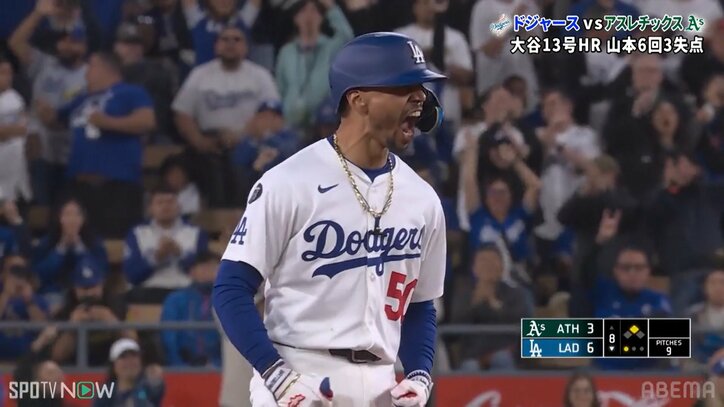 【写真・画像】　1枚目