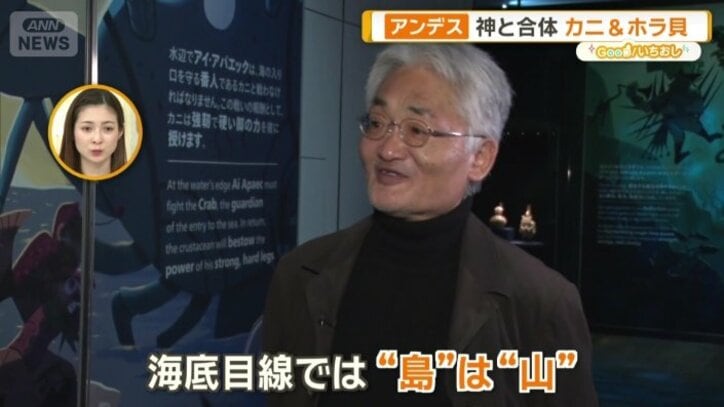 海底目線では“島”は“山”