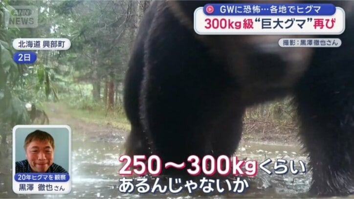 「“メタボヒグマ”と言っている」