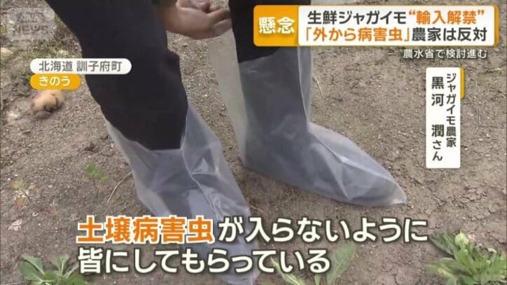 病害虫対策に細心の注意