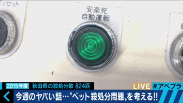 杉本彩、命の尊さを問う ペット殺処分問題に「抜本的な改革が必要」
