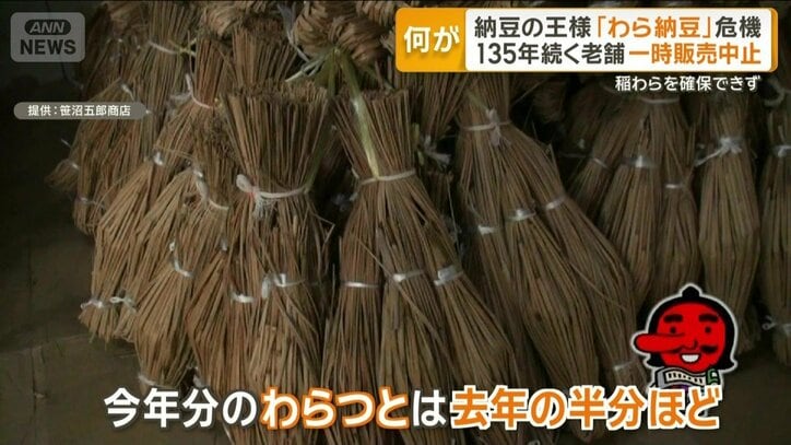 今年分のわらつとは去年の半分ほど