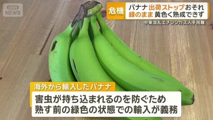 海外から輸入したバナナ
