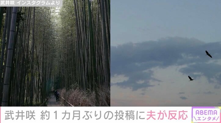 【写真・画像】武井咲（31）、約1カ月ぶりにインスタ更新！京都での写真に夫・EXILE TAKAHIRO（41）が反応　2枚目