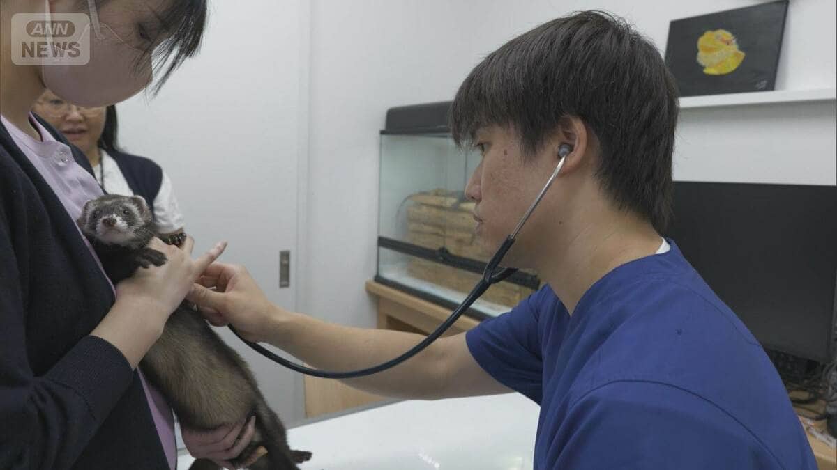 どんな動物でも診療する獣医奮闘 来院の7割が「エキゾチックアニマル