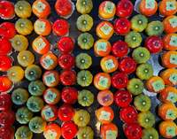 假屋崎省吾『美味しいスィーツごちそうさま‼️』