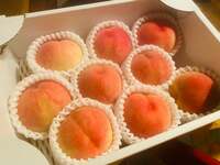 ベッキー『お中元1』