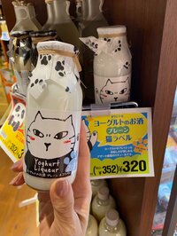 藤あや子『KALDI』