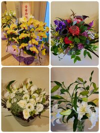 モト冬樹『今日５月５日は』