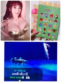 叶姉妹『✨あつまれどうぶつの森✨日記❤️変わりはてた姿の攻略本⁈は…✨✨』