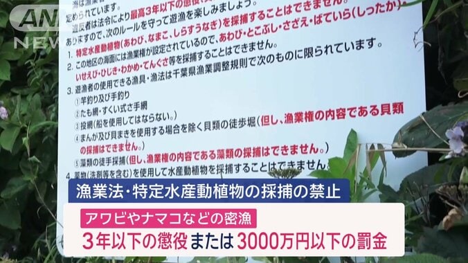 アワビやナマコなどの密漁は罰則強化