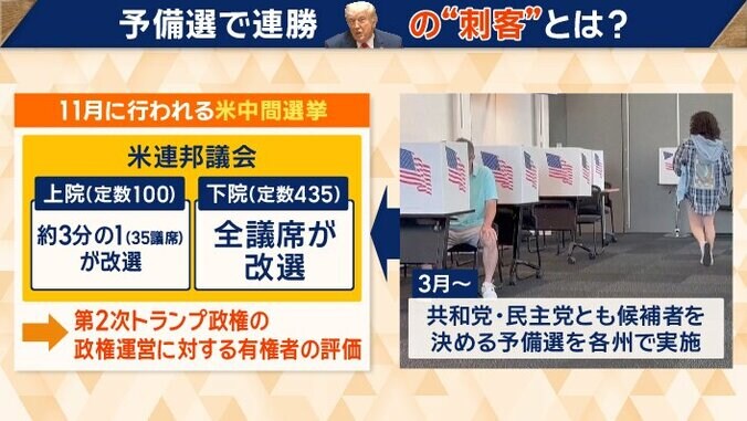 トランプ氏の“刺客”とは？