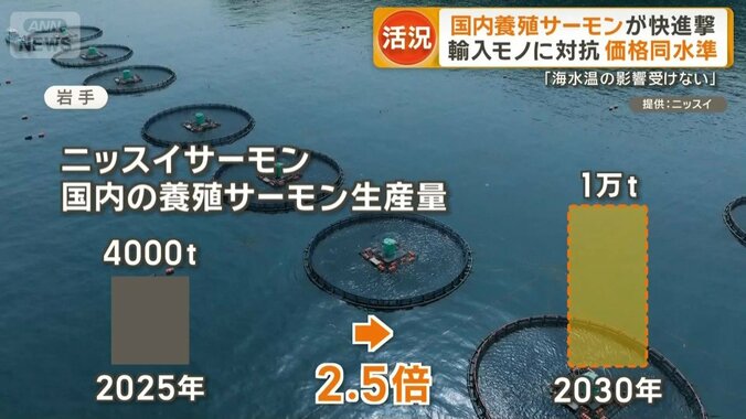 ニッスイサーモンの国内養殖サーモン生産量
