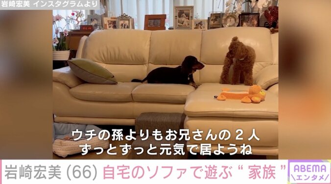 【写真・画像】岩崎宏美（66）、広々リビングのソファで遊ぶ愛犬の様子を公開「宏美ちゃんの家すてき～」「仲良し」ファン注目　2枚目