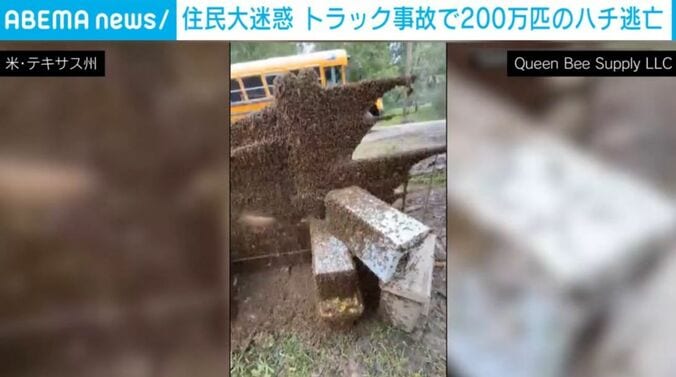 米・テキサス州