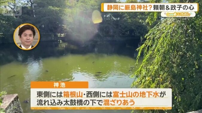 神池