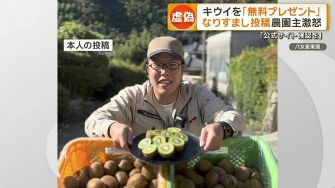 本人の投稿