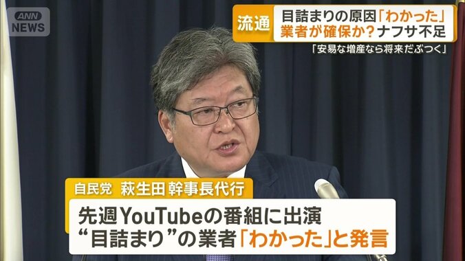 自民党の萩生田光一幹事長代行