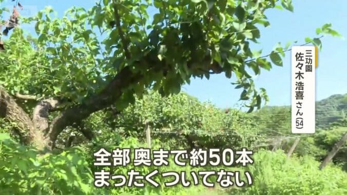 「全部取られてしまった」