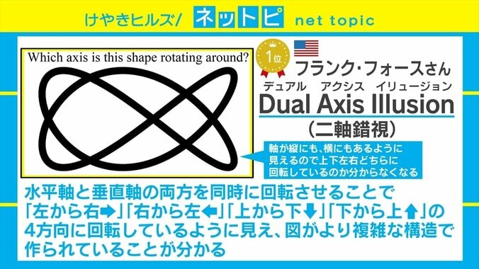 日本人が2位にランクイン！ “ベスト・オブ目の錯覚”を決める「ベスト・イリュージョン・オブ・ザ・イヤー2019」発表 3枚目