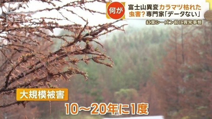 大規模被害は10年、20年に一度