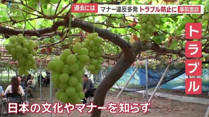 ここまで来るのに苦労も