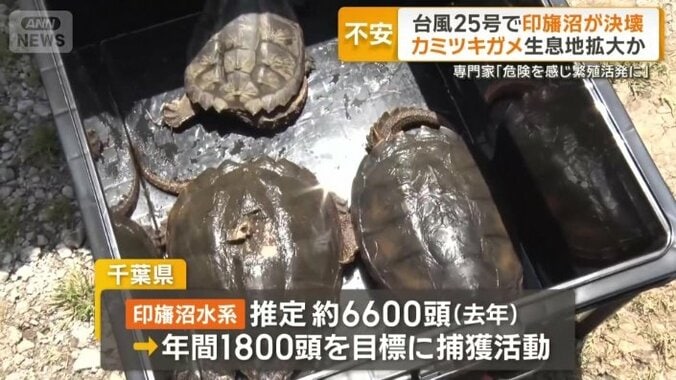 全国各地で発見