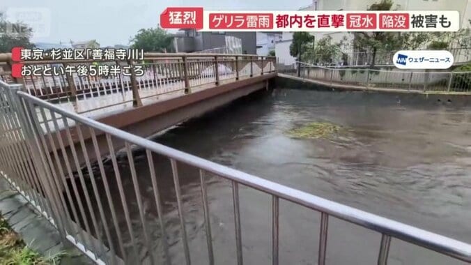 橋げたのすぐ下まで増水した善福寺川