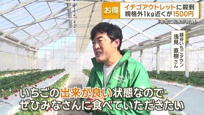 越谷いちごタウン　浅見直樹さん