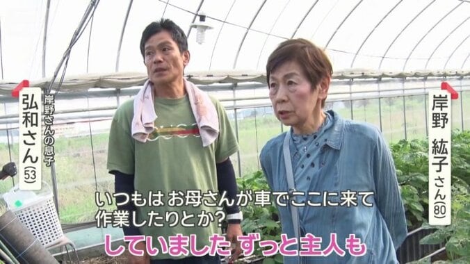 イチゴ畑