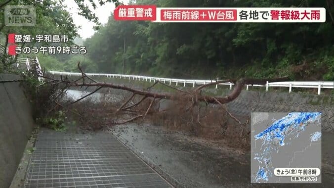 道路をふざぐ木
