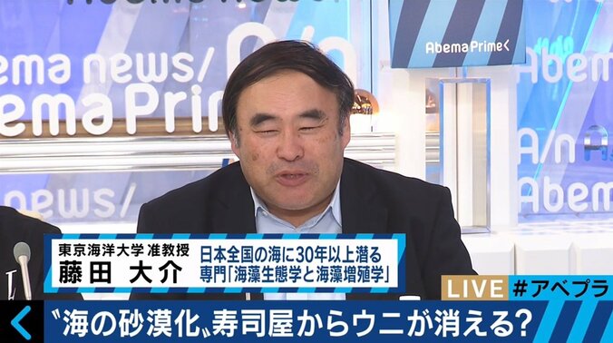 寿司屋からウニが消える？漁獲量を減少させる「磯焼け」とは 7枚目