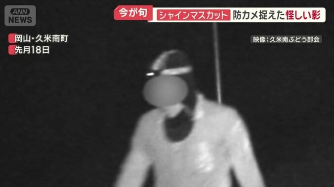 頭にライトをつけた人物