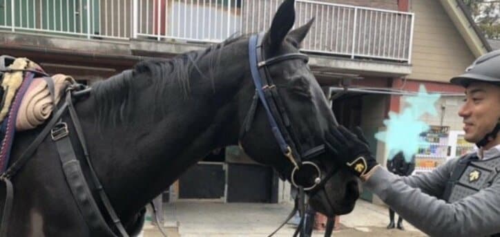 市川海老蔵、趣味の乗馬を満喫する様子を公開「とってもお似合い」「超かっこいい」の声