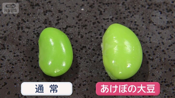 甘みが強く、粒の大きさが通常の1.5倍