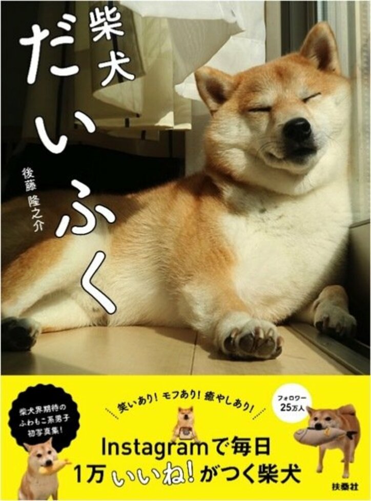 インスタで毎日1万“いいね”！ イケメン柴犬「だいふく」の日々を放送　初の写真集も発売決定