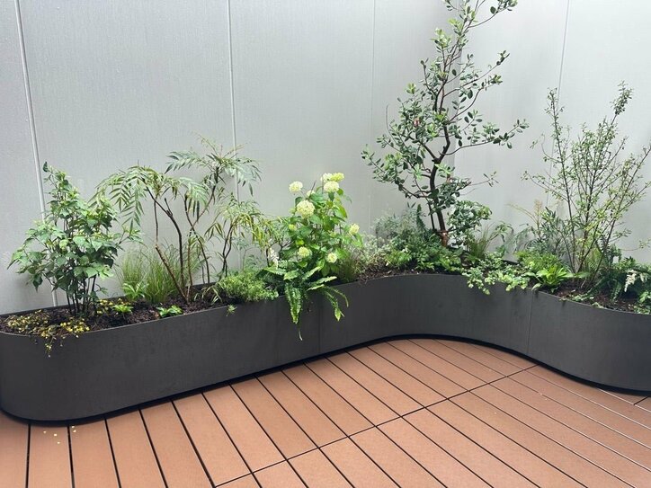 新居の植栽