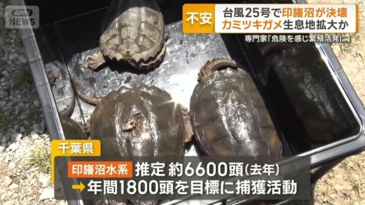 全国各地で発見