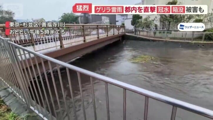 橋げたのすぐ下まで増水した善福寺川