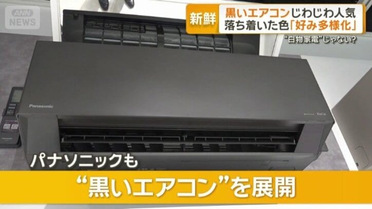 パナソニックも展開