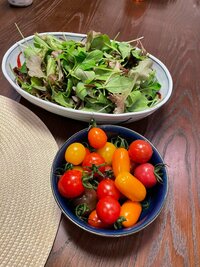 野田聖子『走る』