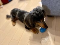 八田亜矢子『キャパオーバー』