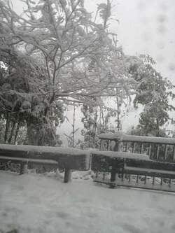 料理研究家、大雪で約4時間立ち往生し帰宅を断念「正直かなり途中から恐怖でした」 