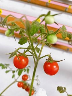  熊田曜子、全然違う内容だった長女と次女の個人面談「なかなか無い」「将来楽しみ」の声 