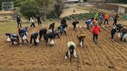 クマのためにドングリ増やせ　「山を元に戻すのは人間の仕事」ベテラン猟師の取り組み