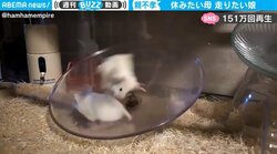 娘に振り回される母に「どこの世界もお母さんは大変だ」ネットから同情と共感の声